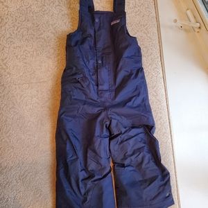 Patagonia Snow Pants